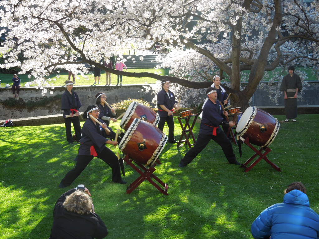 Hanami celebration outside the Clocktower