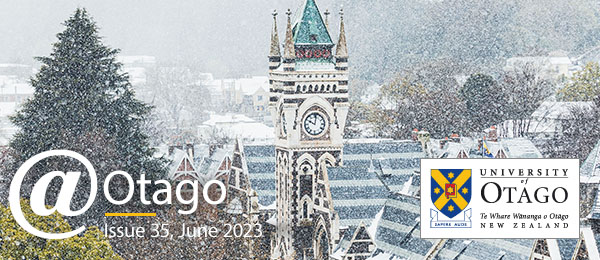 issue 34 banner