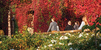 Hot-Picks-Otago-354x177px