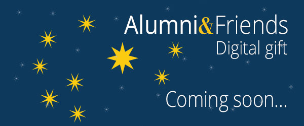 Matariki banner